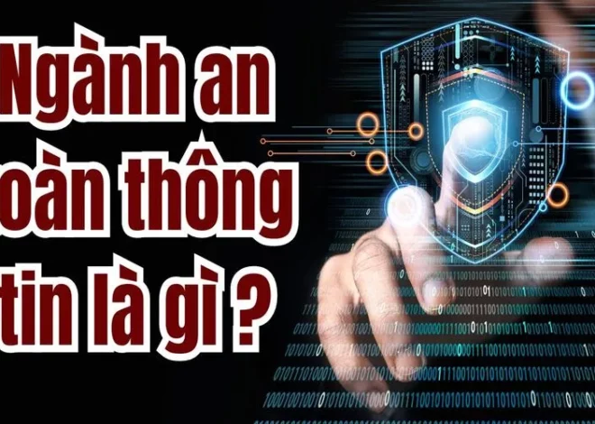 Ngành an toàn thông tin là gì? Cơ hội việc làm, mức lương và triển vọng nghề