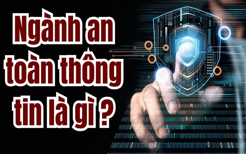 Ngành an toàn thông tin là gì? Cơ hội việc làm, mức lương và triển vọng nghề