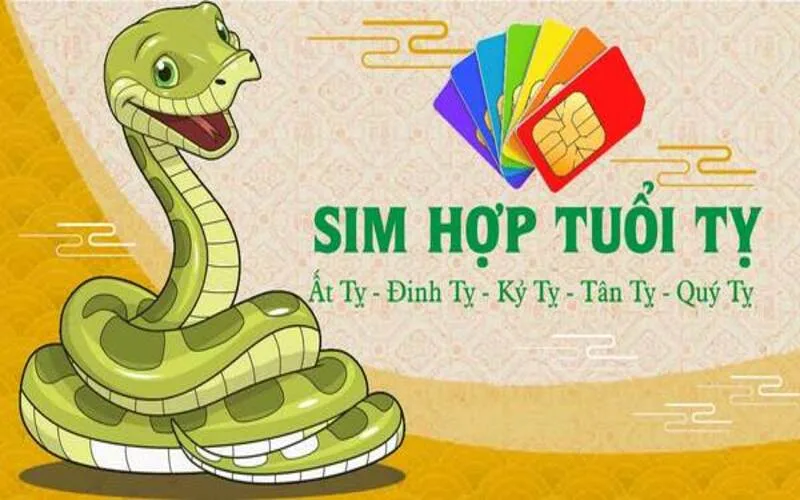 tuoi ty trong cay gi hop phong thuy de mang lai tai van